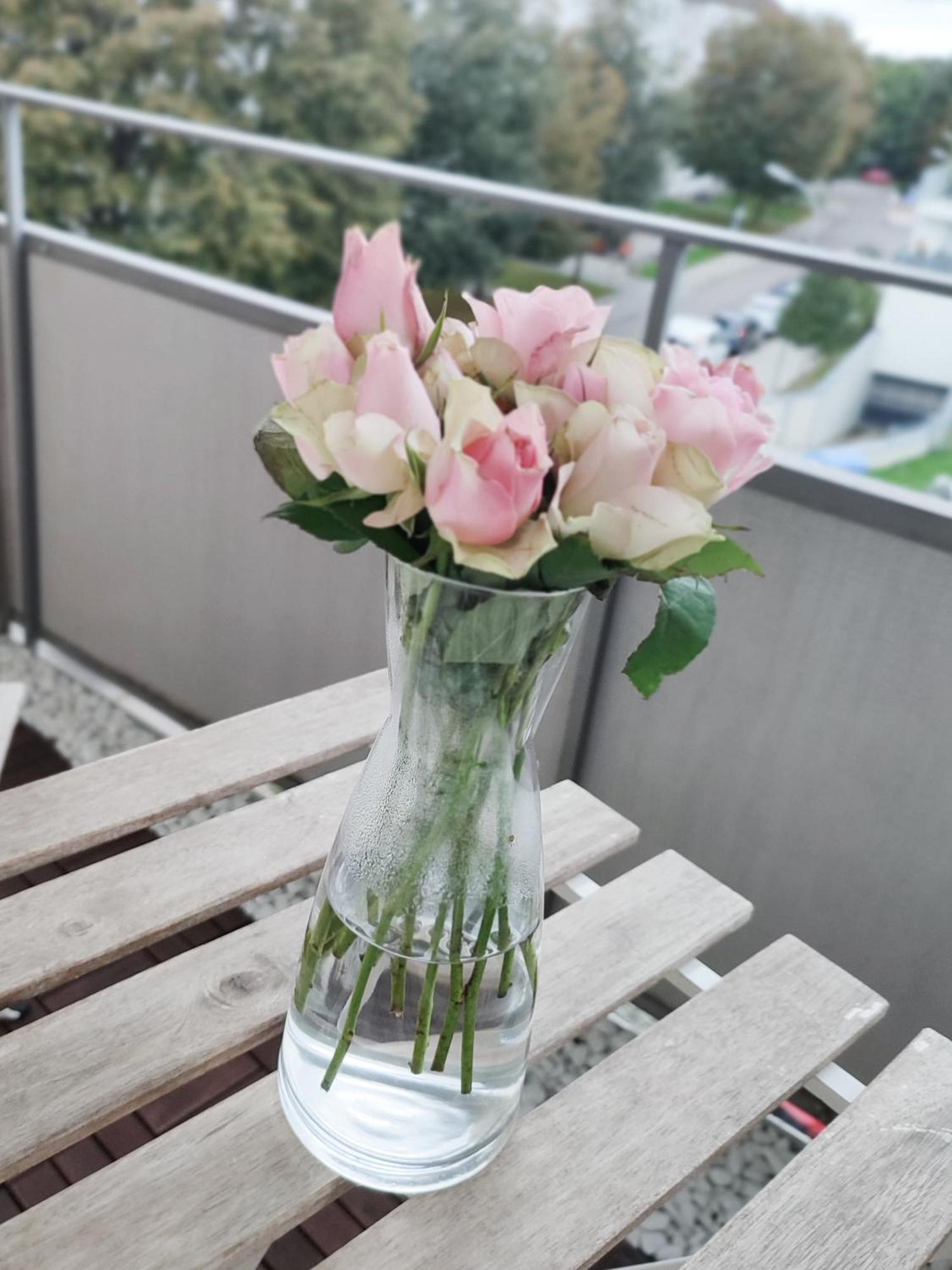 Business & Leisure Apartment อินโกลชตัดต์ ภายนอก รูปภาพ